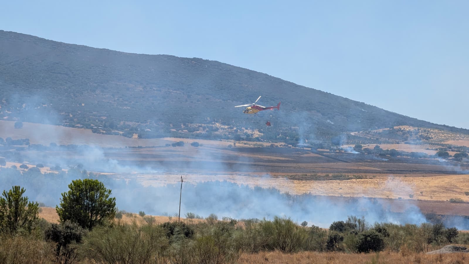 El incendio forestal de Don Benito, en imágenes
