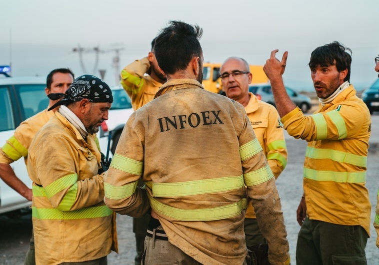 El Plan Infoex recibirá la Medalla de Extremadura