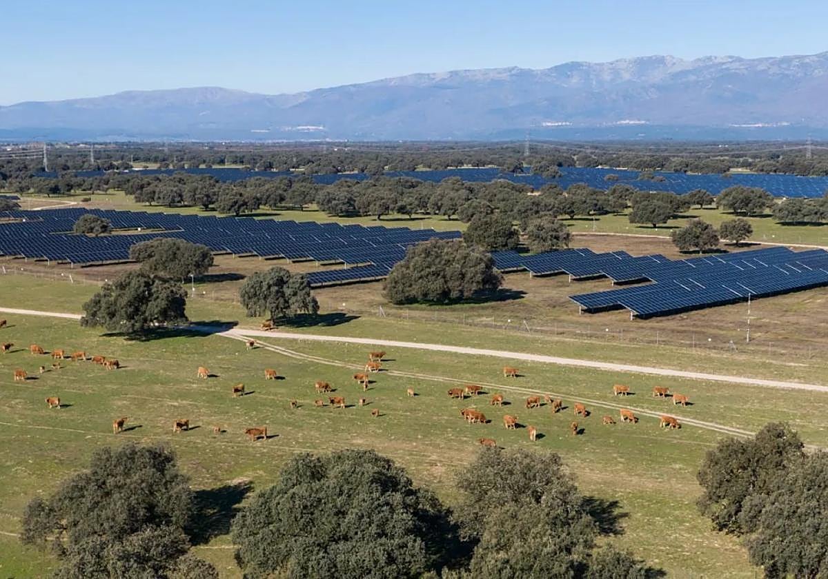 Una de las plantas fotovoltaicas que ya opera Statkraft en Cáceres.