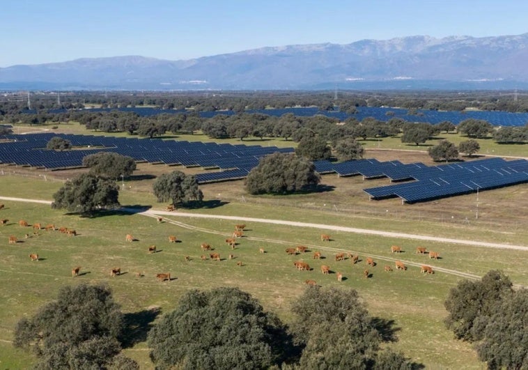 Una fotovoltaica entre Coria y Guijo, tercera de Statkraft en la provincia de Cáceres