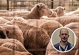 Javier García Gudiño ha presentado la investigación en Austria.