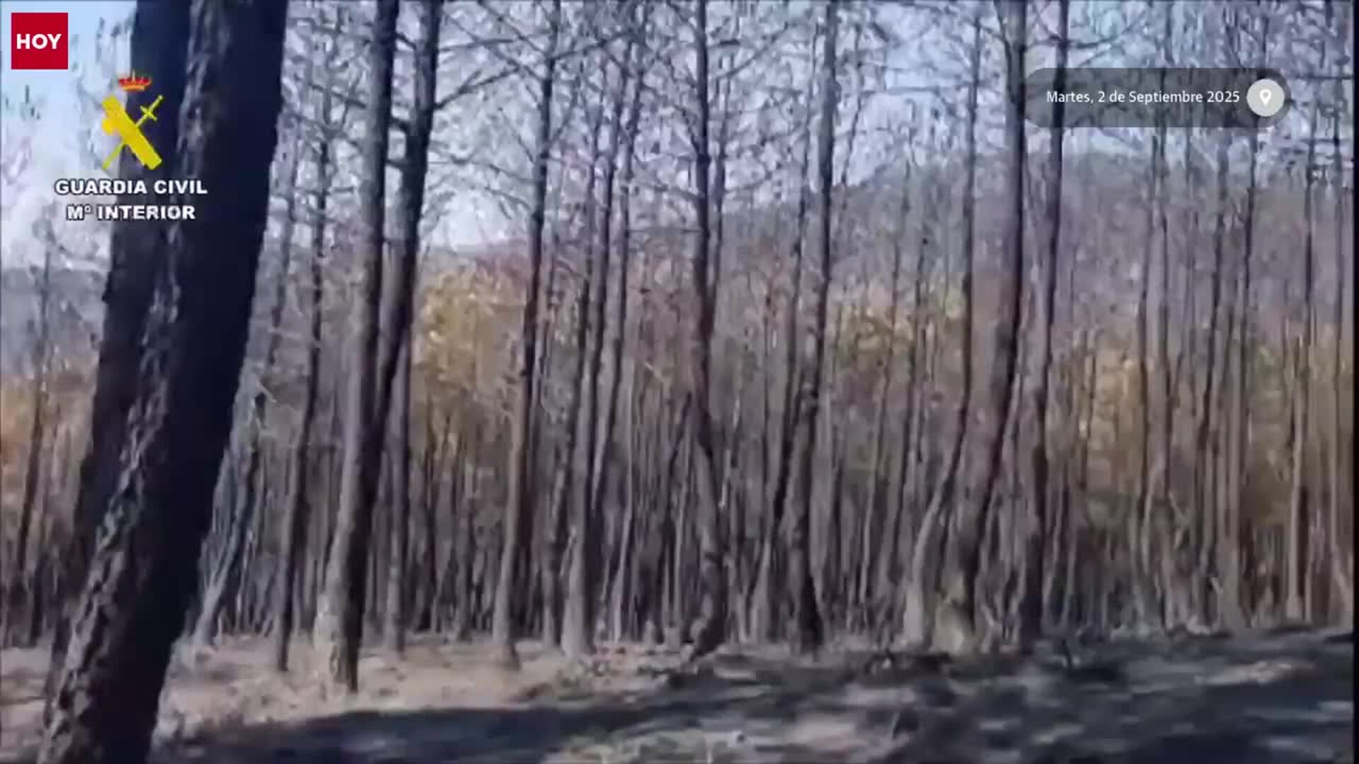 Cuatro detenidos y seis investigados por provocar 17 incendios en la provincia de Cáceres en los últimos meses