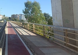 El hombre trató de precipitarse hacia el río desde la mitad del puente.