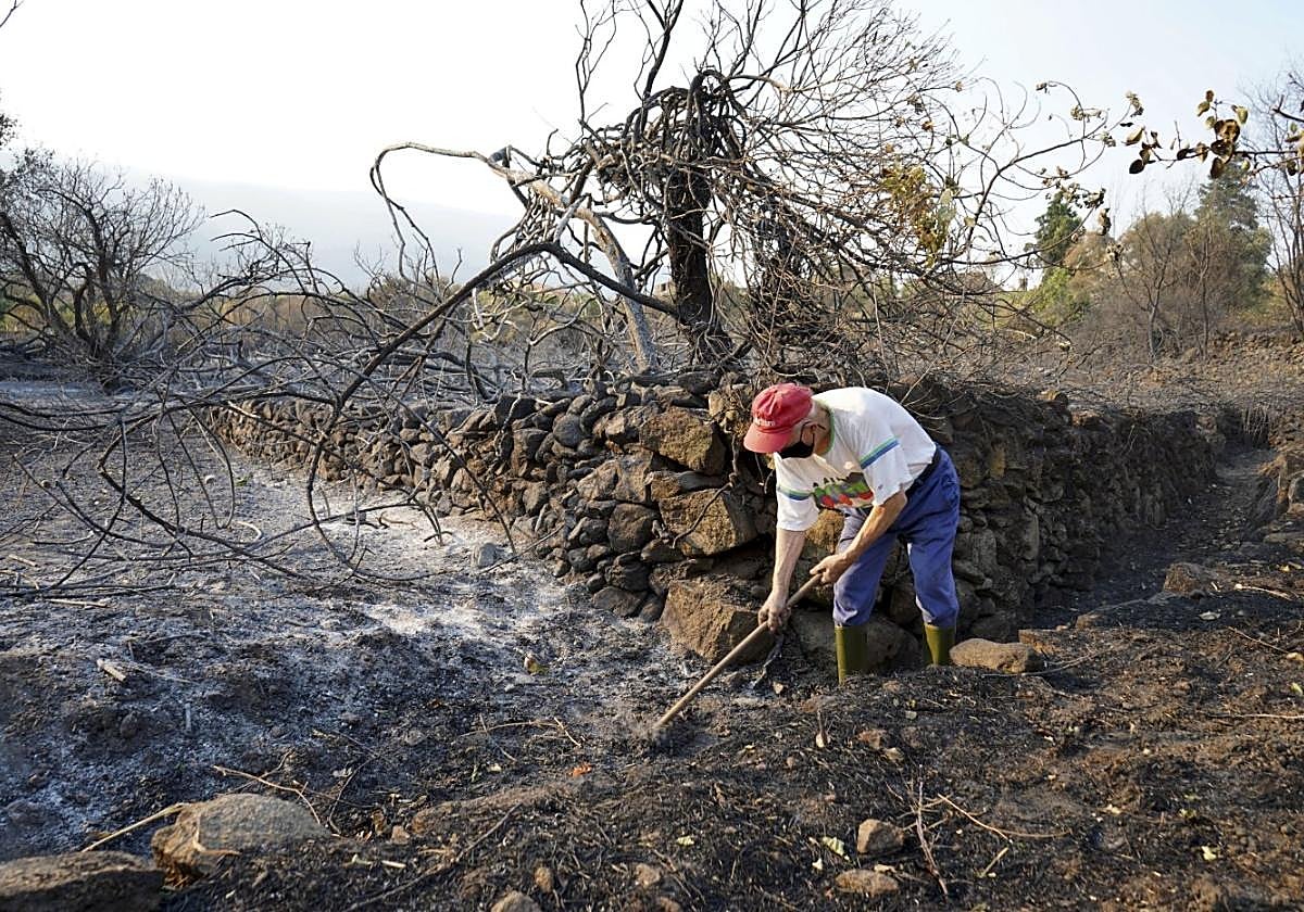 El incendio de Jarilla, en la imagen, dejó escenas desoladoras.