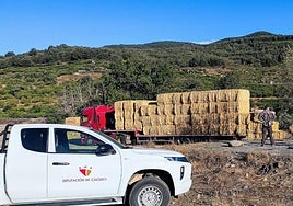 Reparto de pacas de paja.