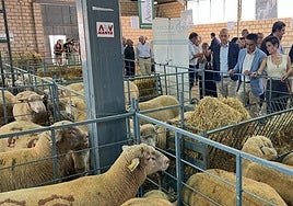 Inauguración 40 Salón Ovino Castuera.