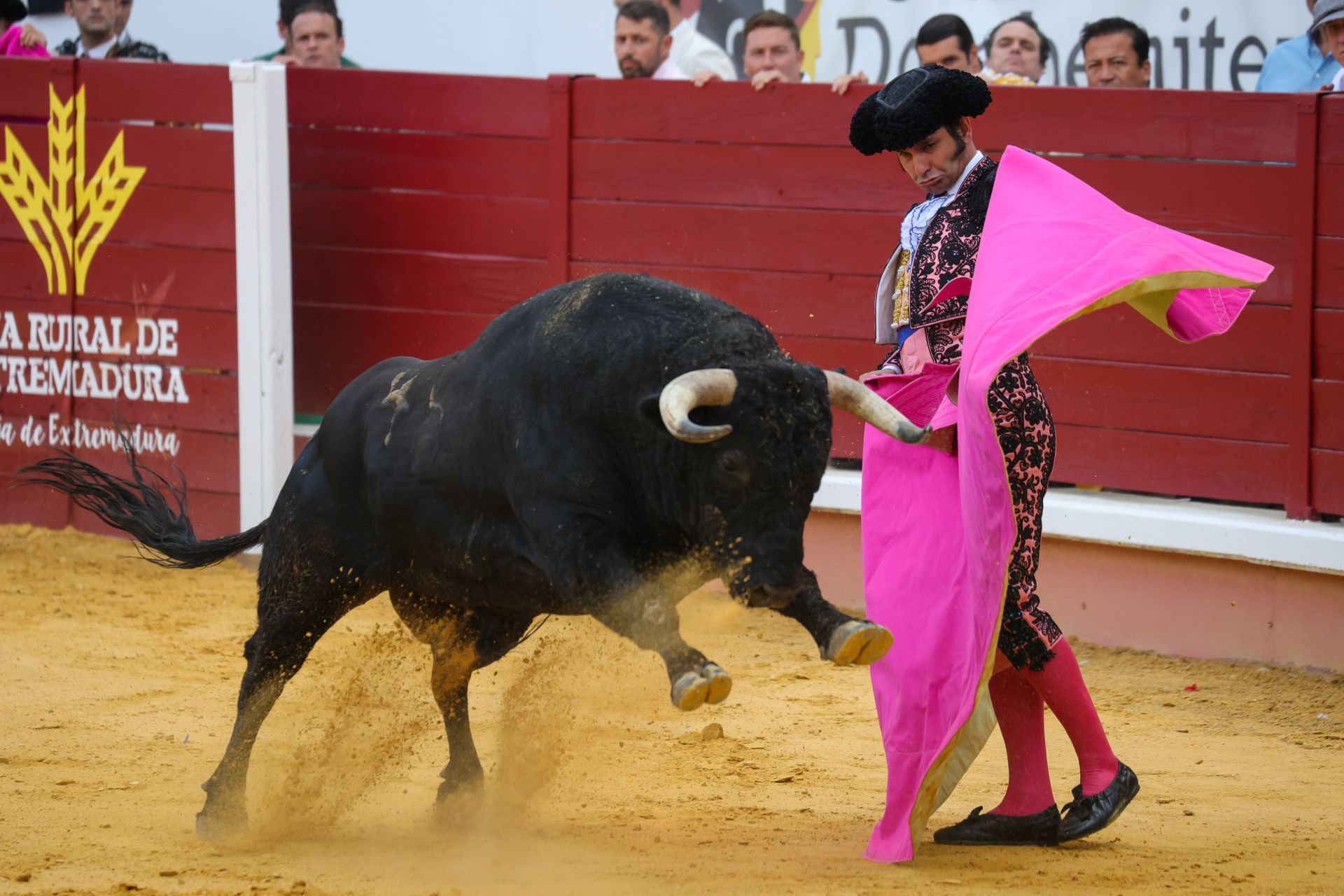 Fotos | Así fue la tarde de toros en Don Benito