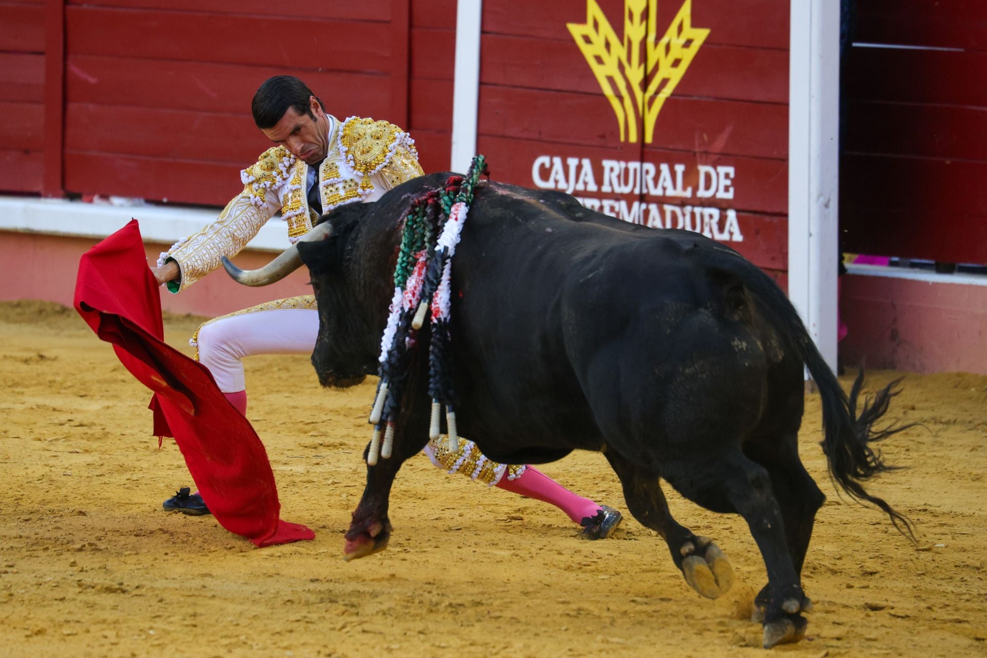Fotos | Así fue la tarde de toros en Don Benito
