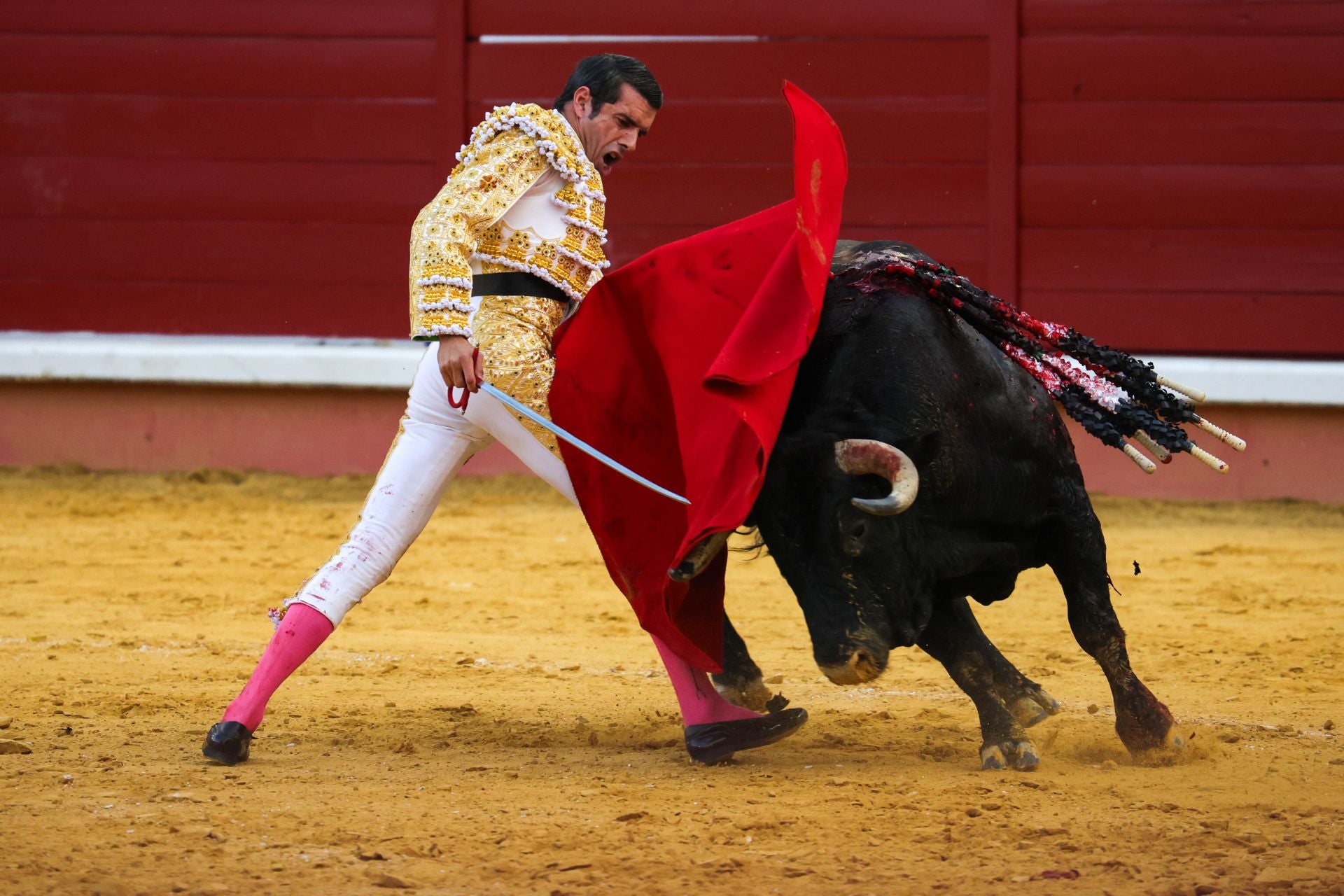 Fotos | Así fue la tarde de toros en Don Benito