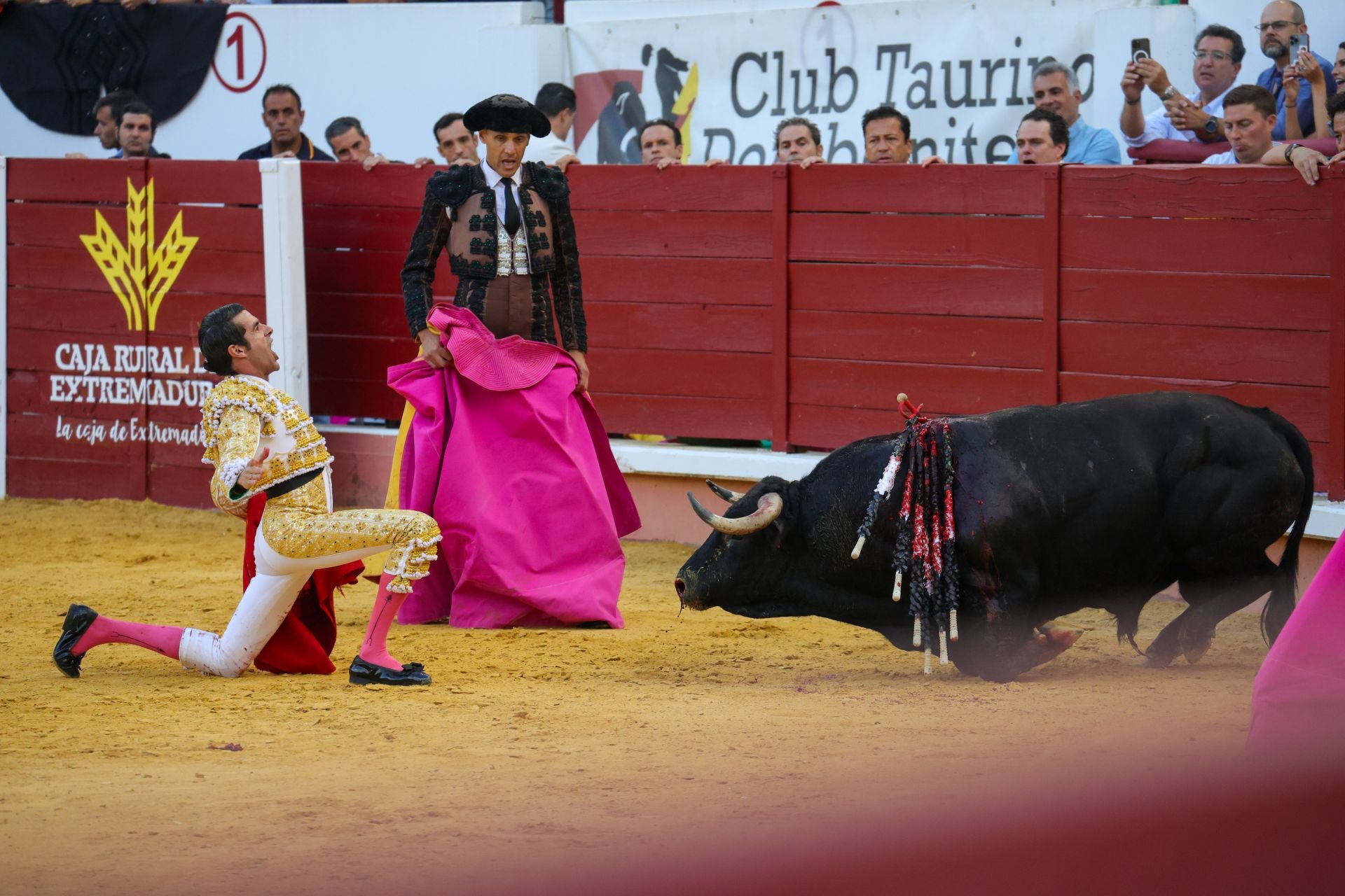 Fotos | Así fue la tarde de toros en Don Benito