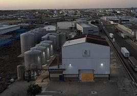 Dos heridos por intoxicación en la cooperativa Viñaoliva de Almendralejo