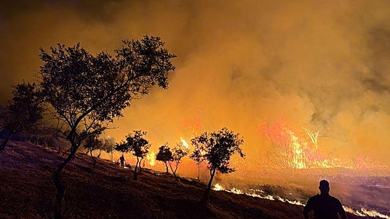 Un incendio arrasa 25 hectáreas de monte y cultivos en Perales del Puerto