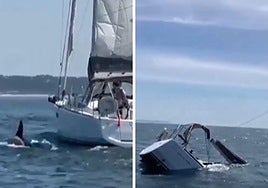 Varias orcas hunden un velero frente a la Costa de Caparica