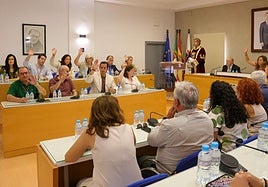 Sesión plenaria en la que tomó posesión como alcaldesa Elisabeth Medina.