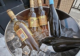 Un noche mágica en torno al Jerez