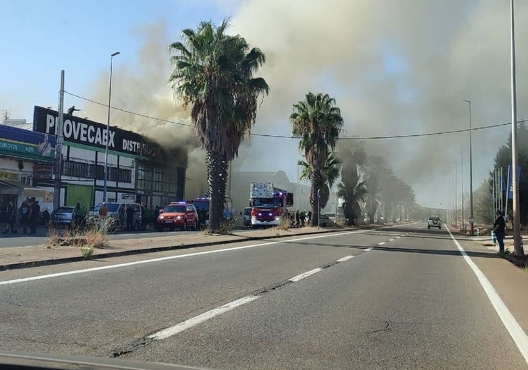 Los bomberos intervienen en un incendio en el Provecaex de la carretera del Ferial de Cáceres