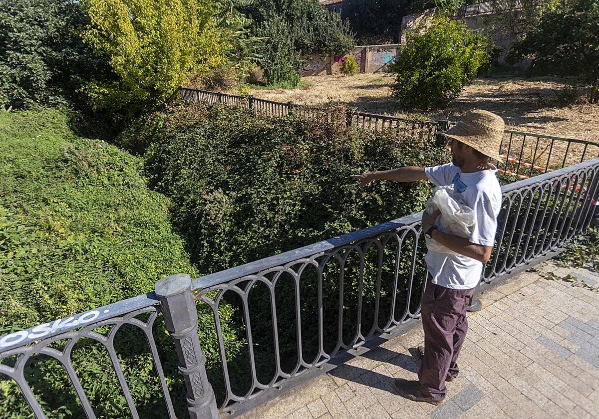 Pedro Moreno, presidente de la Asociación Amigos de la Ribera del Marco, señala el cauce del arroyo, apenas perceptible por la proliferación de maleza.