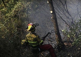 El Infoex desactiva el nivel 1 por un incendio forestal en Talayuela
