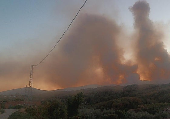 Incendio forestal en Cuacos de Yuste.