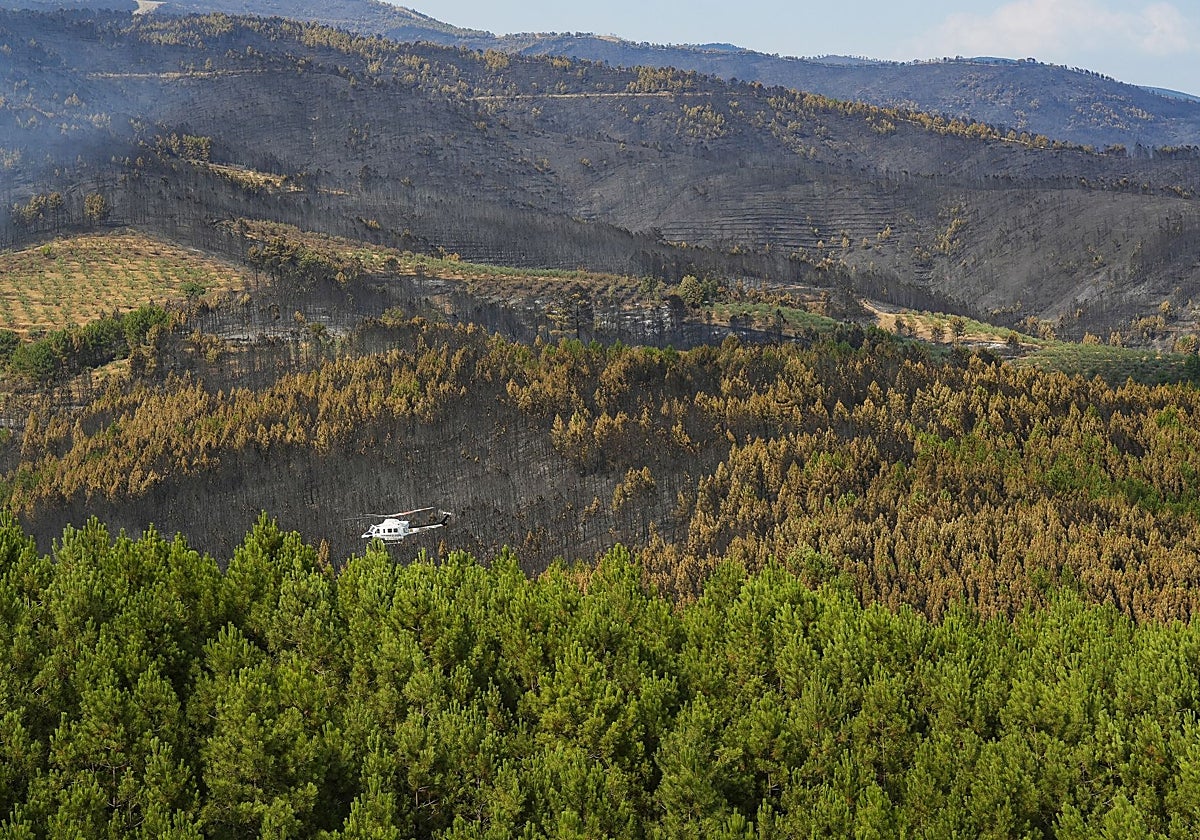 Un helicóptero interviene en el incendio de Las Hurdes del pasado mes de julio.