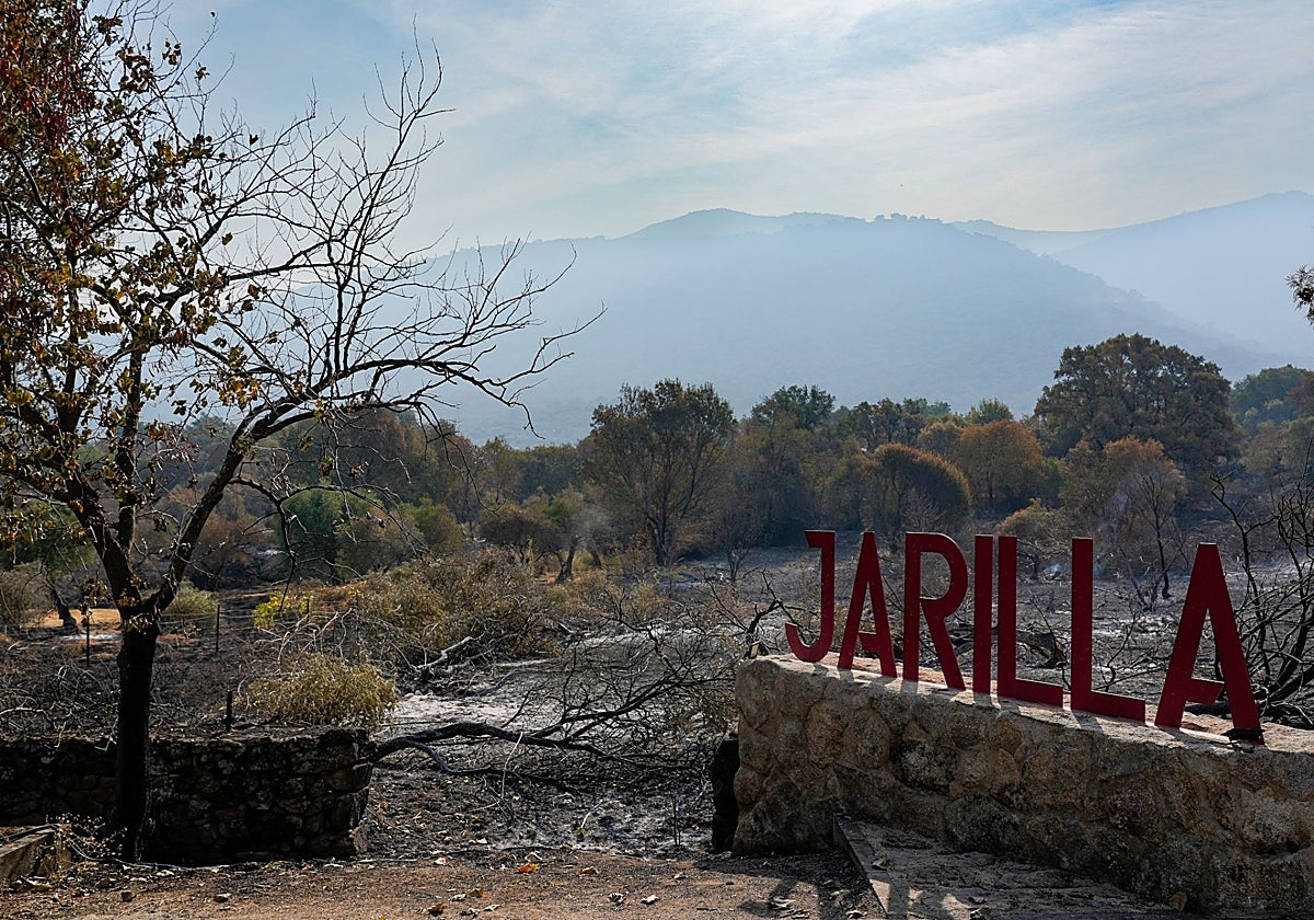 Incendio en la localidad cacereña de Jarilla.