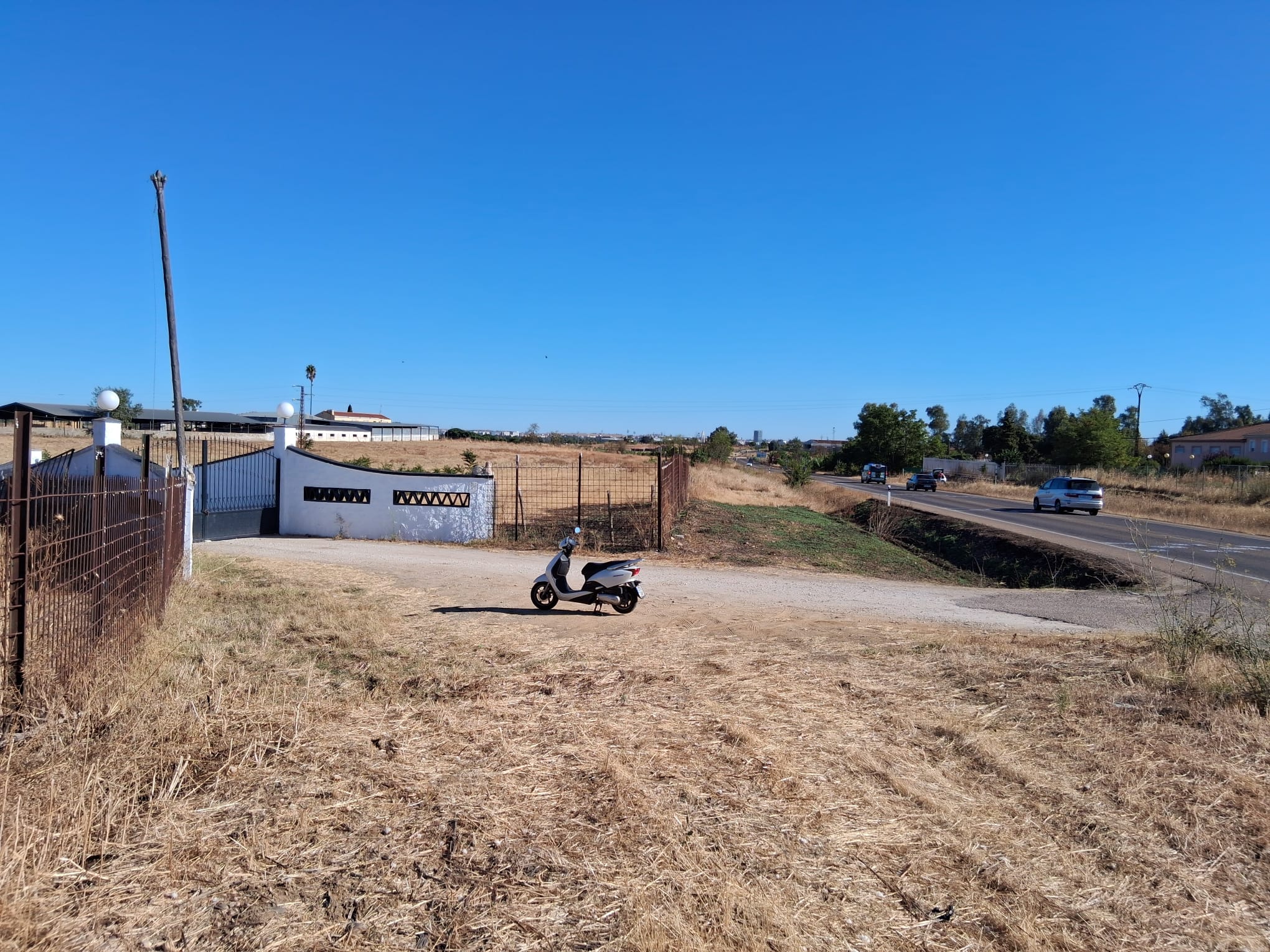 Fotos | Así ha quedado el coche tras al accidente mortal de un conductor y un caballo en Badajoz