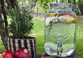 Bebida detox, receta paso a paso