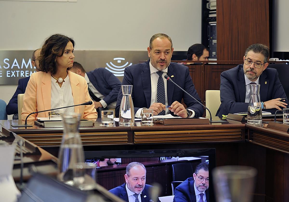 La Junta achaca los grandes incendios a la despoblación y la protección del monte: «La masa forestal ha crecido un 22%»