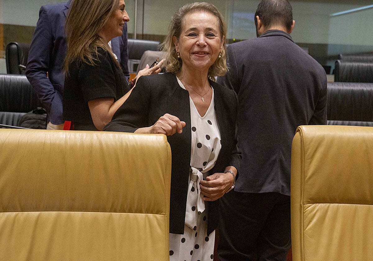 La consejera de Educación, Mercedes Vaquera, en el pleno de la Asamblea de Extremadura celebrado este jueves.