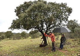 Imagen de una montería celebrada en la región.