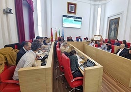 Imagen de un pleno del Ayuntamiento de Mérida en este año.