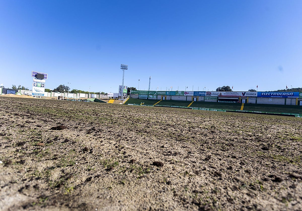 Estado en el que se encontraba el césped del Príncipe Felipe este martes.