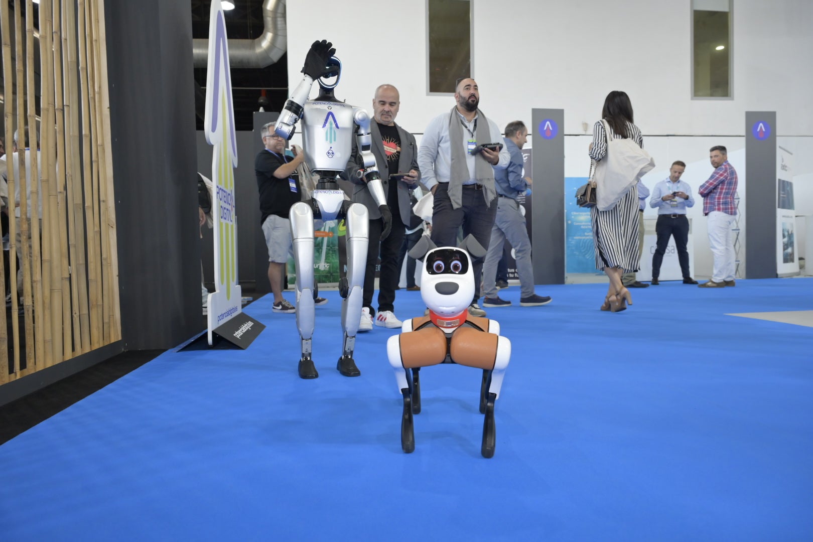 Fotos | Las mejores imágenes del Congreso Potencial Digital