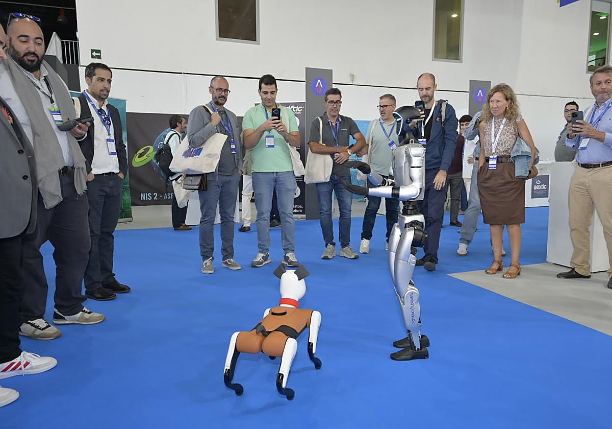 Fotos | Las mejores imágenes del Congreso Potencial Digital