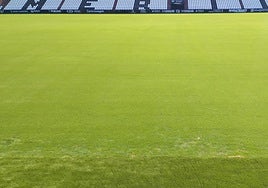 Aspecto actual del césped del Romano tras la nueva resiembra de invierno.