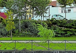 Muchos comprados se reunían en el parque del Calamón.