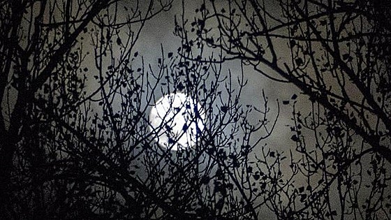 Luna llena del Cazador 2025: cuándo y cómo ver esta superluna de octubre