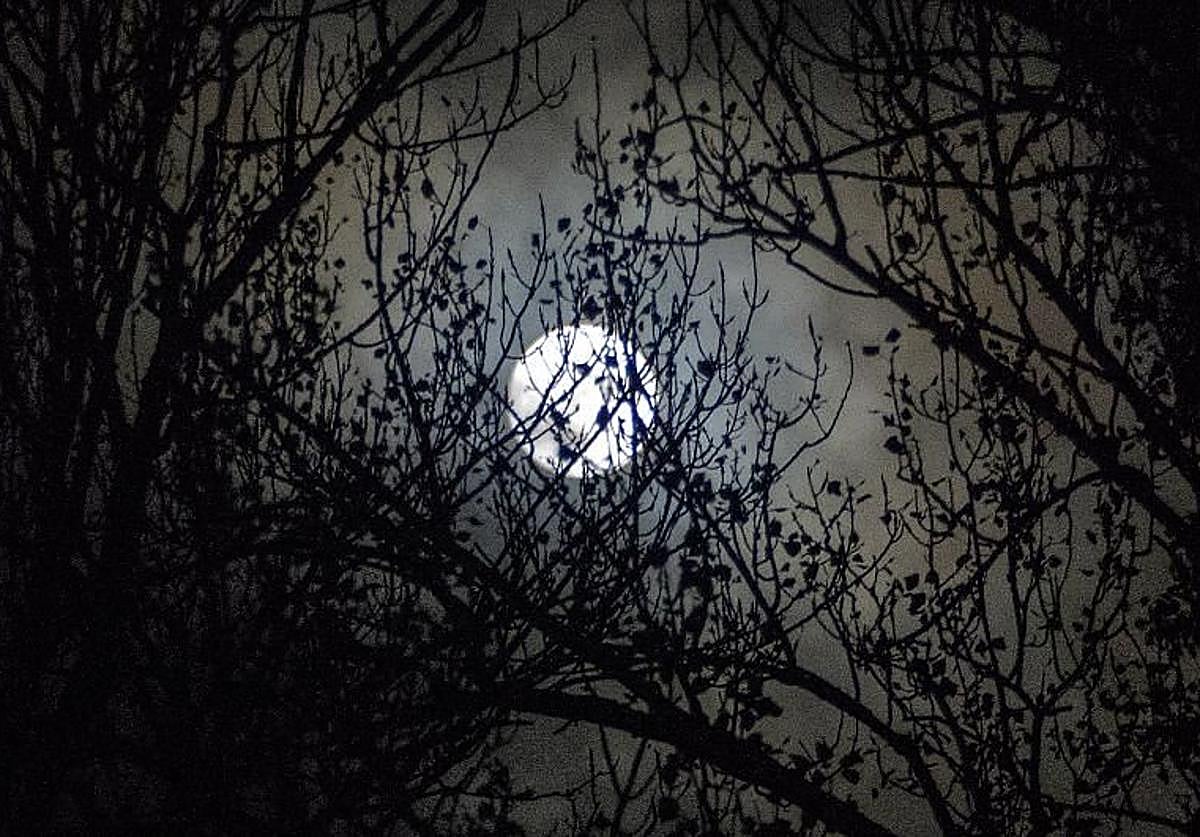 Luna llena del Cazador 2025: cuándo y cómo ver esta superluna de octubre