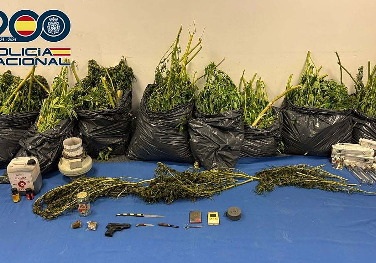 Material intervenido por la Policía en San Andrés.