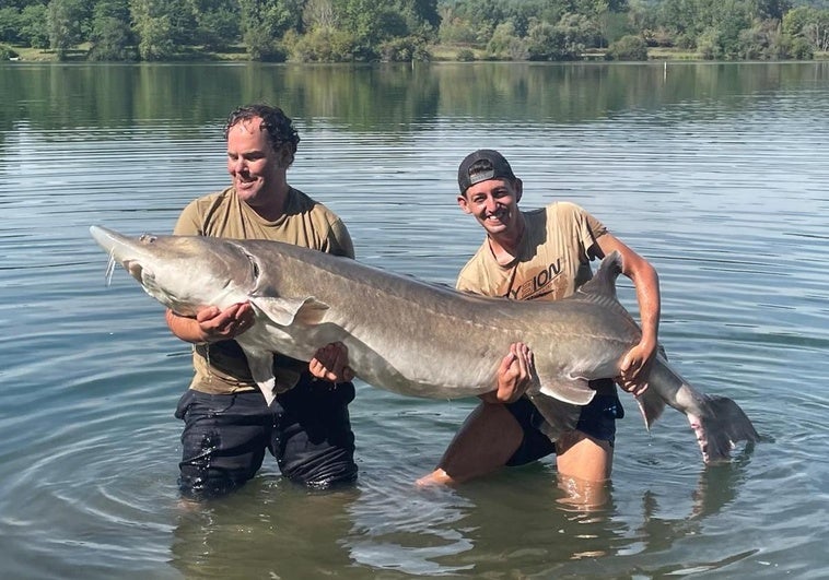 Unos primos extremeños capturan un esturión beluga de más de 80 kilos