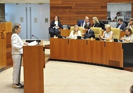 La consejera de Educación, Mercedes Vaquera, en la defensa del proyecto de ley en la Asamblea.