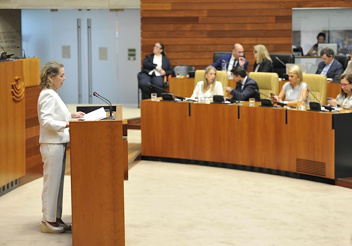 La consejera de Educación, Mercedes Vaquera, en la defensa del proyecto de ley en la Asamblea.