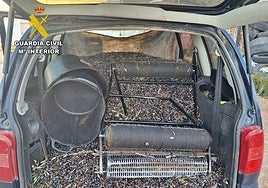 Imagen de archivo de aceitunas recuperadas tras un robo.