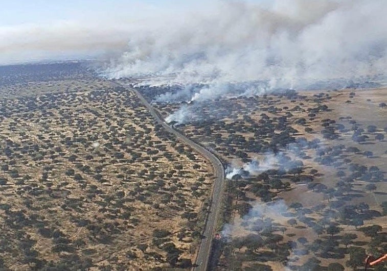 Imagen de los diferentes focos que provocó supuestamente la rampa del camión de transporte de ganado.