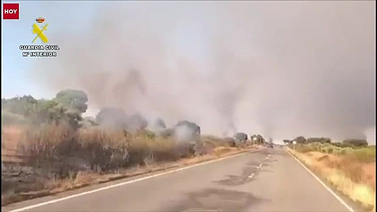 Investigan por 29 incendios forestales a un camionero de transporte de ganado que circuló con la rampa desplegada