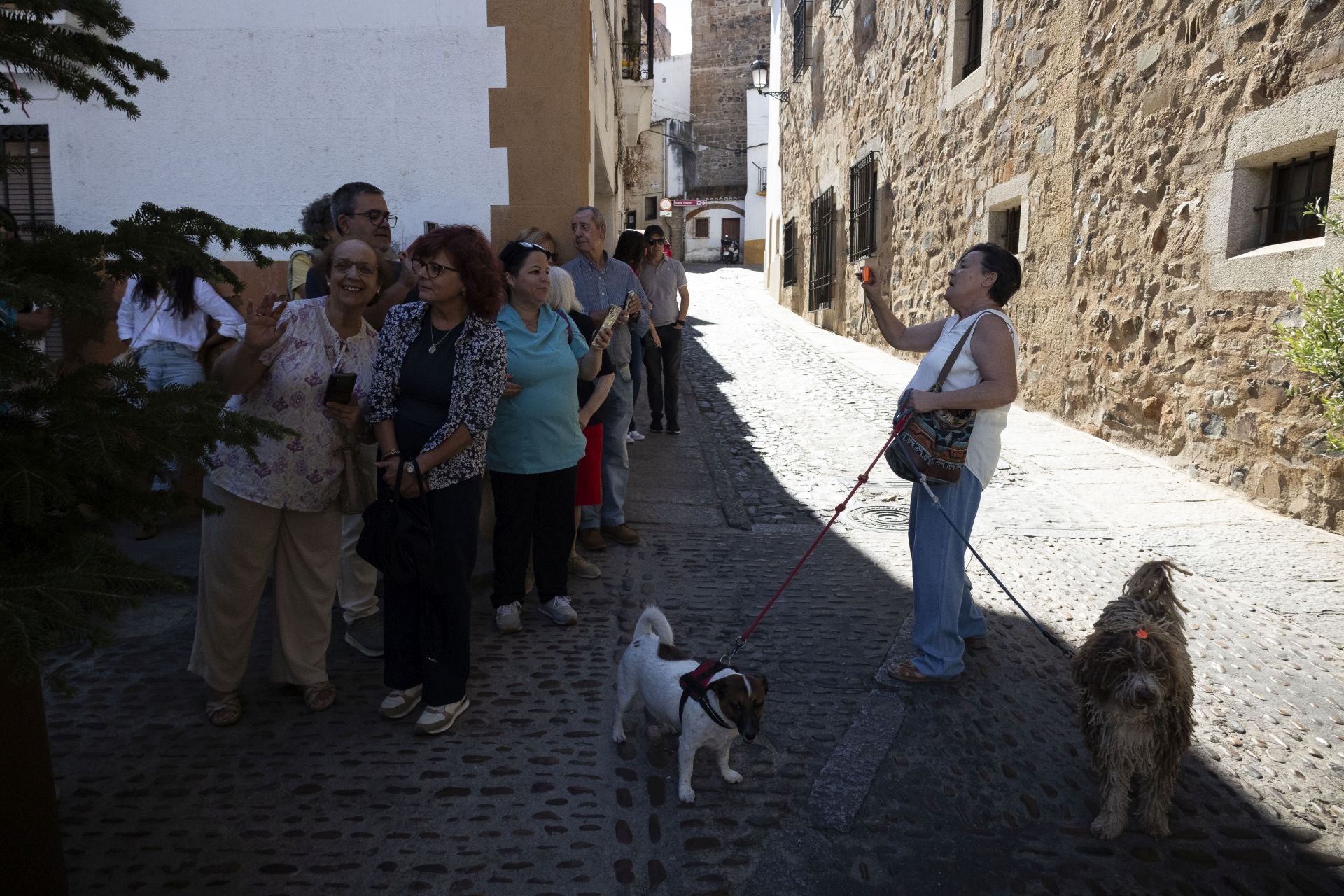La boda de Fernando Palazuelo y Micaela Belmont, en imágenes