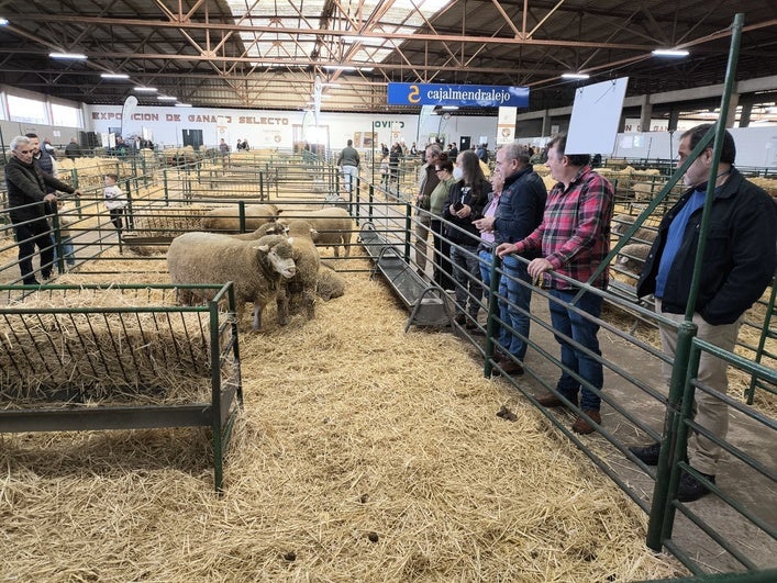 La Institución Ferial busca personal para la Feria Agroganadera