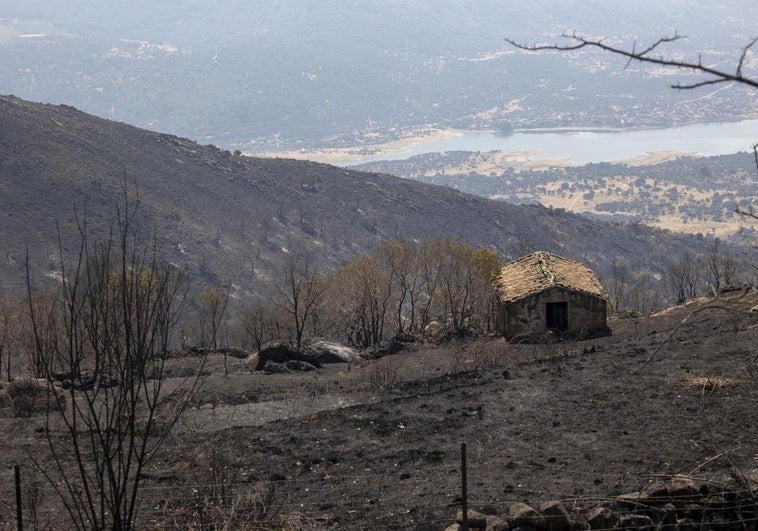 La catástrofe de Jarilla ya es considerada el primer incendio de sexta generación en la historia de Extremadura