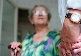 Una anciana recibe ayuda domiciliaria.