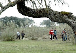 Senderistas en una ruta por el parque de Cornalvo.